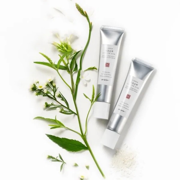 [김소형] 본초순백 도자기 수분 선크림 30ml SPF 50+PA+++(업체별도 무료배송)