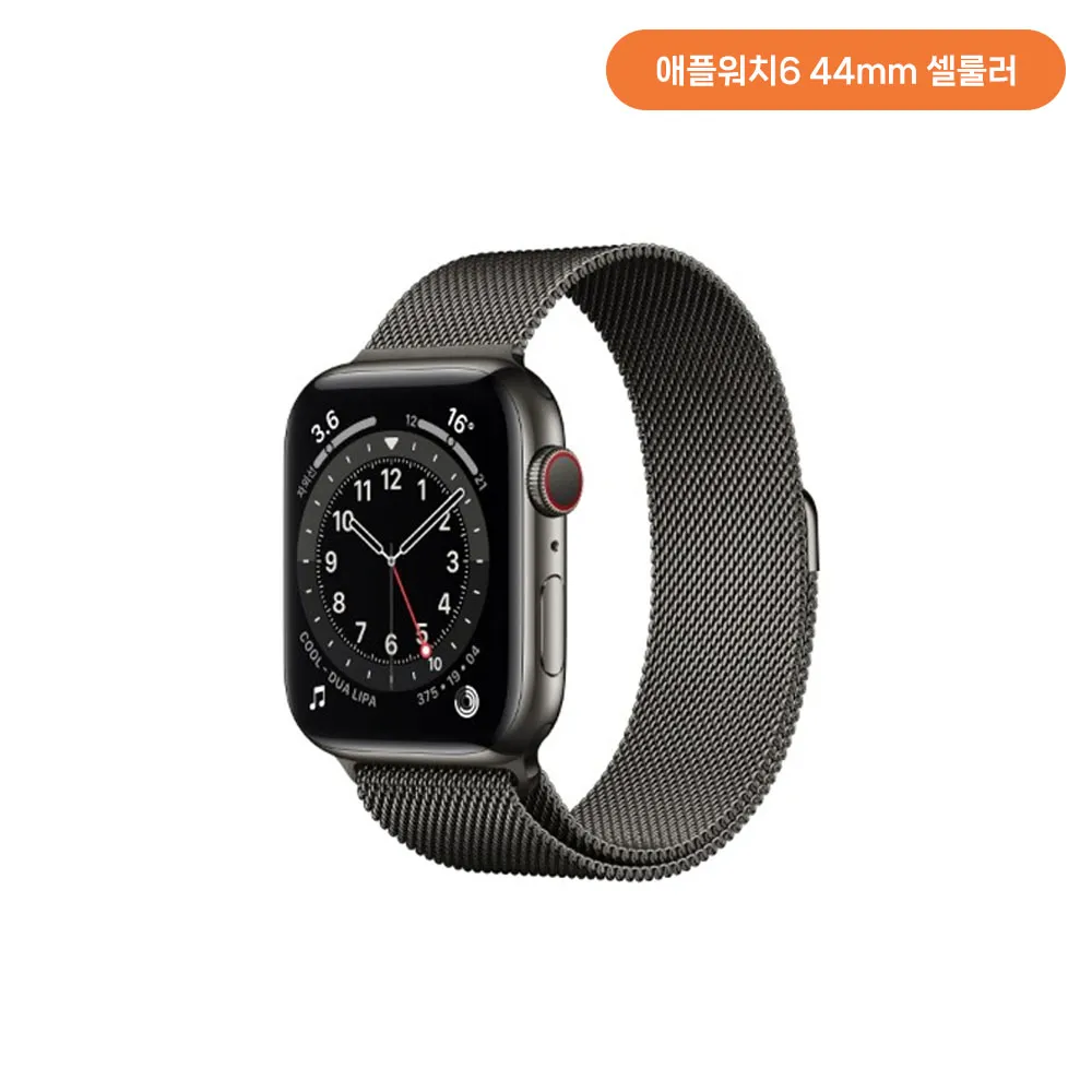 [단순변심]애플워치6 44mm GPS+Cellular (그래파이트 색상) + (스테인리스 케이스/그래파이트 스테인리스 밀레니즈 루프) M09J3KH/A (업체별도 무료배송)[중고상품][오픈박스]