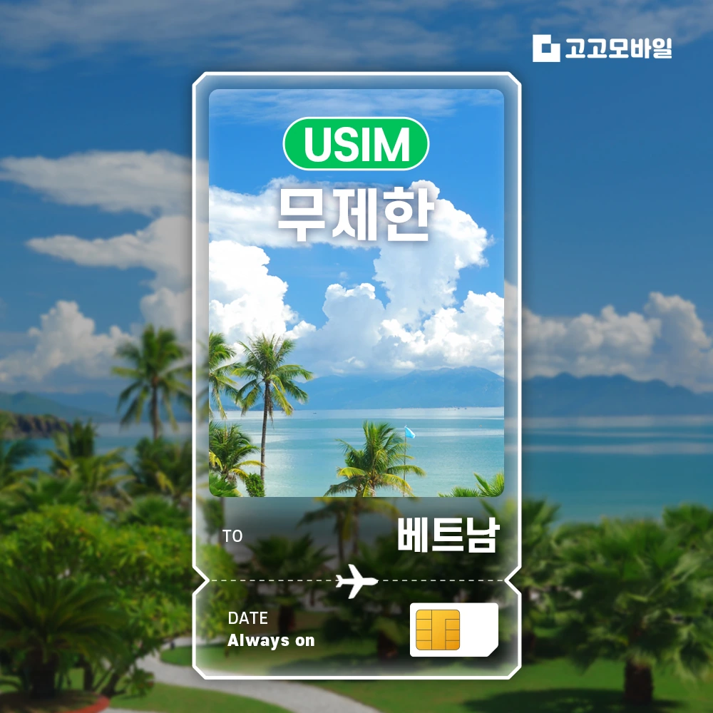 베트남 유심 USIM 다낭 하노이 호찌민 베트남 전지역 데이터 완전 무제한 (~16:00 주문 시 당일 발송)